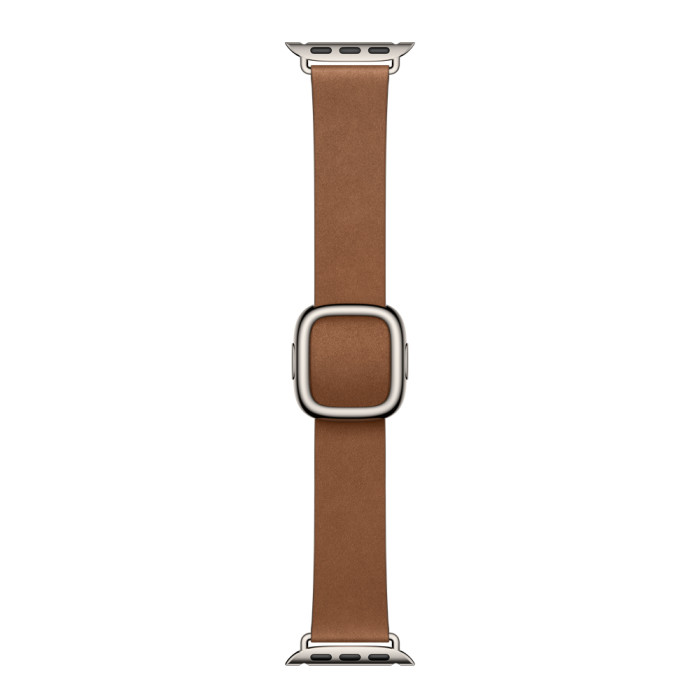 Apple Modern Buckle